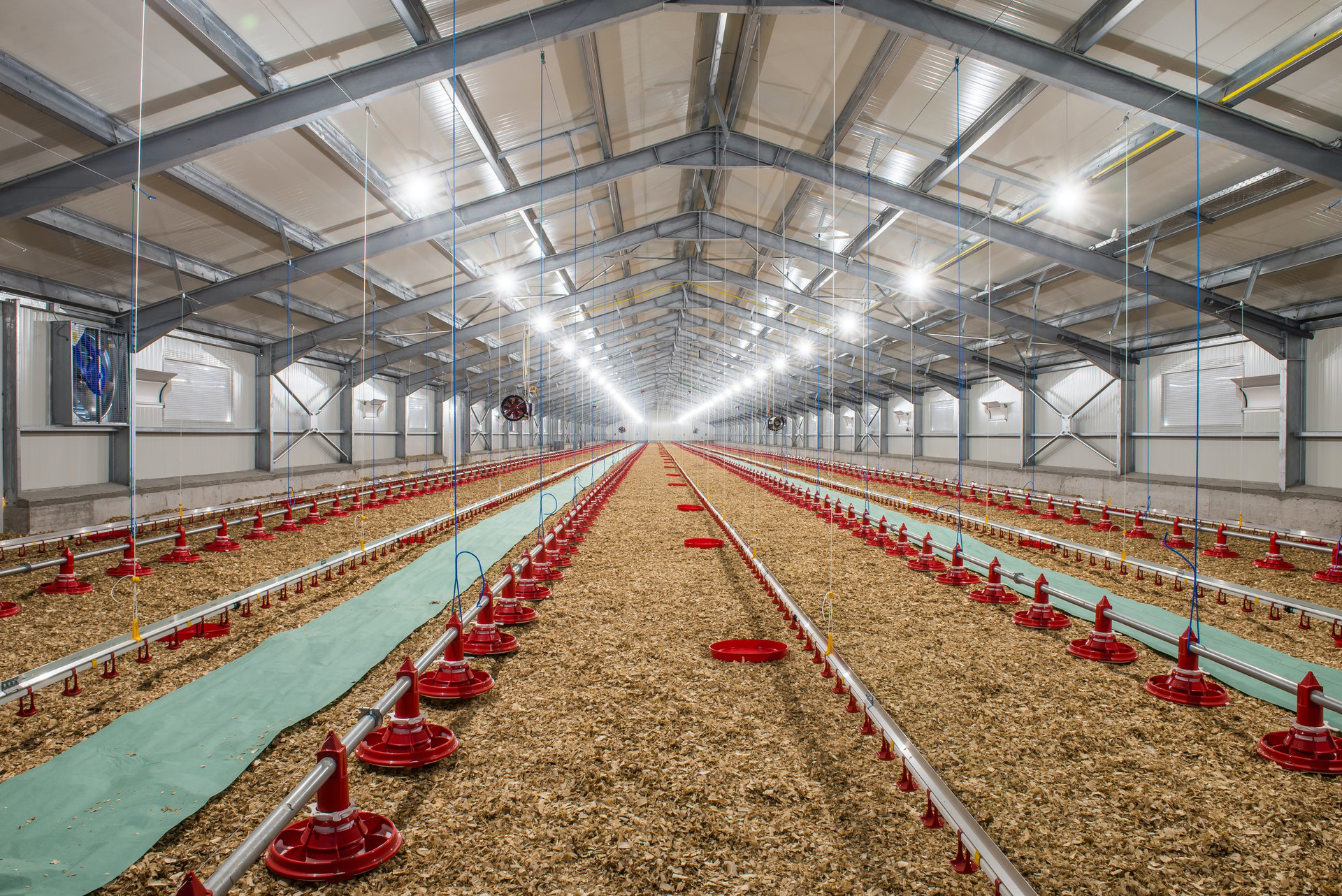 Stalverlichting. Agrarische verlichting