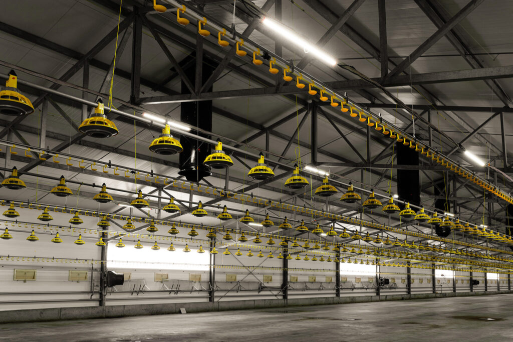 Gewasverlichting. Agrarische verlichting.